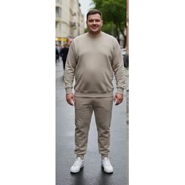 Костюм спортивний чоловічий 7386 beige р.54-62 "ROLADA" недорого оптом від прямого постачальника