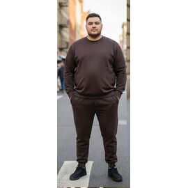 Костюм спортивний чоловічий 7392 brown р.54-62 "ROLADA" недорого оптом від прямого постачальника