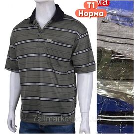 Футболка чоловіча молодіжна р-ри XL-4XL (мікс кв) "STELLA" недорого гуртом від прямого постачальника