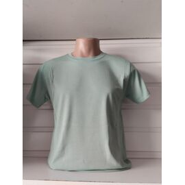 Футболка чоловіча 1565 mint р.S-2XL "RING" недорого оптом від прямого постачальника