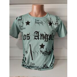 Футболка чоловіча 1581 mint р.M-2XL "RING" недорого оптом від прямого постачальника