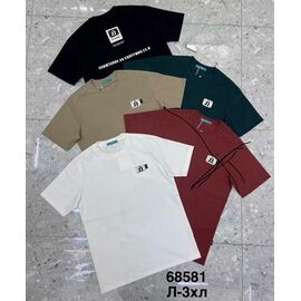 Фотография Футболка мужская 68581 white р.L-3XL "WELL" недорого оптом от прямого поставщика