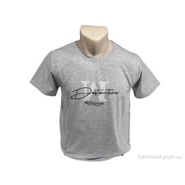 Фотография Футболка мужская Лето C002 сірий (4 шт. р.сетка M-2XL) "TurkishBrend" недорого оптом от прямого поставщика