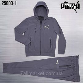 Спортивний чоловічий костюм на блискавці Пума розміри M-3XL (5 кв) "REMAIN" купити недорого від прямого постачальника