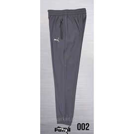 Спортивні штани чоловічі на євро манжеті Пума розміри M-3XL (2кв) "REMAIN" недорого від прямого постачальника