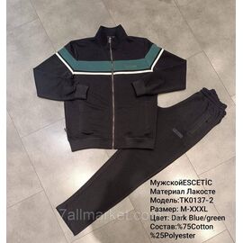 Спортивний чоловічий костюм ESCETIC розміри M-3XL (3 кв) "REMAIN" купити недорого від прямого постачальника