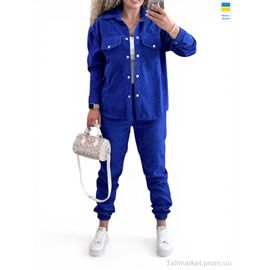 Фотография Женский костюм Весна/осень 127 джинс (3 шт. р.сетка 42-52) "Alisa Brand" недорого оптом от прямого поставщика