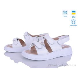 Фотография Босоножки женские летние Лето 718-8A (6 пар р.36-40) "Ailinda" недорого оптом от прямого поставщика