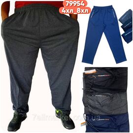 Спортивні штани чоловічі прямі супербатал розміри 4XL-8XL (мікс кв) "STELLA" недорого від прямого постачальника