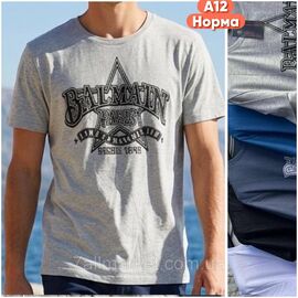 Футболка чоловіча молодіжна р-ри XL-3XL (мікс кв) "STELLA" недорого гуртом від прямого постачальника