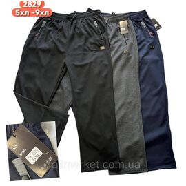 Спортивні штани чоловічі прямі супербатал розміри 5XL-9XL (мікс кв) "STELLA" недорого від прямого постачальника