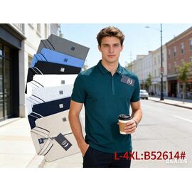 Фотография Футболка мужская B52614 l.grey р.L-4XL "Lina" недорого оптом от прямого поставщика