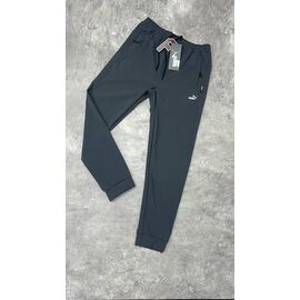 Штани спортивні чоловічі 13580 grey р.S-2XL "Alex Clothes" недорого оптом від прямого постачальника