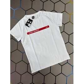 Футболка чоловіча 13629 white р.S-2XL "Alex Clothes" недорого оптом від прямого постачальника