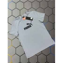 Футболка чоловіча 13644 grey р.S-2XL "Alex Clothes" недорого оптом від прямого постачальника