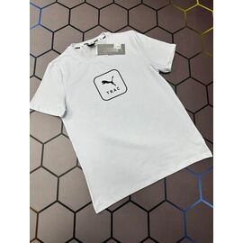 Футболка чоловіча 13661 white р.S-2XL "Alex Clothes" недорого оптом від прямого постачальника