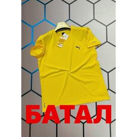 Фотография Футболка женская 13674 yellow р.2XL-6XL "Alex Clothes" недорого оптом от прямого поставщика