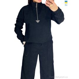 Жіночий костюм Весна/осінь 212 чорний (3 шт. р.сітка42-52) "Alisa Brand" недорого оптом від прямого постачальника