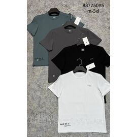 Футболка чоловіча молодіжна р-ри M-3XL (4кв) "PROSTOMEN" недорого гуртом від прямого постачальника