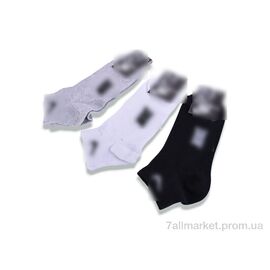 Жіночі шкарпетки Весна/осінь T351 mix (12 шт. р.сітка36-40) "Textile" недорого оптом від прямого постачальника