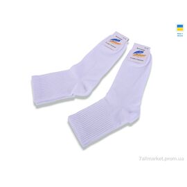 Фотография Носки для мужчин Весна/осень T349 white (12 шт. р.сетка 41-44) "Textile" недорого оптом от прямого поставщика