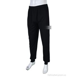 Спортивні штани чоловічі Весна/осінь N2013-3 black (5 шт. р.сітка50-58) "Banko" недорого оптом від прямого постачальника