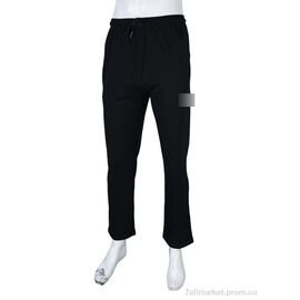 Спортивні штани чоловічі Весна/осінь N201 black (6 шт. р.сітка48-58) "Banko" недорого оптом від прямого постачальника
