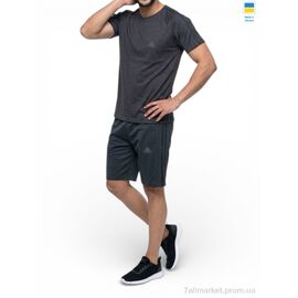 Фотография Спортивный костюм мужской Лето 11AD т.сірий (5 шт. р.сетка 46-54) "Sport style" недорого оптом от прямого поставщика