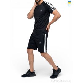 Фотография Спортивный костюм мужской Лето 11AD чорний (5 шт. р.сетка 46-54) "Sport style" недорого оптом от прямого поставщика