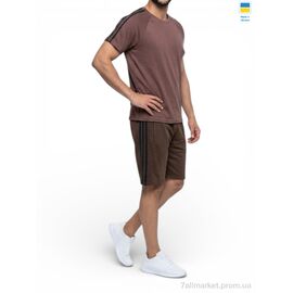 Фотография Спортивный костюм мужской Лето 11AD шоколад (5 шт. р.сетка 46-54) "Sport style" недорого оптом от прямого поставщика