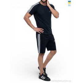 Фотография Спортивный костюм мужской Лето 11AD т.синій (5 шт. р.сетка 46-54) "Sport style" недорого оптом от прямого поставщика