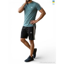 Фотография Спортивный костюм мужской Лето 11AD бірюза (5 шт. р.сетка 46-54) "Sport style" недорого оптом от прямого поставщика