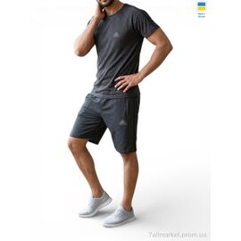 Фотография Спортивный костюм мужской Лето 11AD графіт (5 шт. р.сетка 46-54) "Sport style" недорого оптом от прямого поставщика