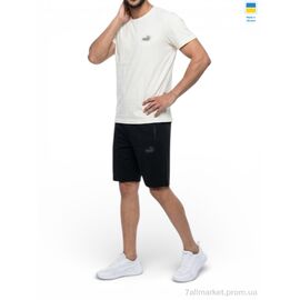 Фотография Спортивный костюм мужской Лето 11PU молоко (5 шт. р.сетка 46-54) "Sport style" недорого оптом от прямого поставщика