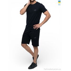 Фотография Спортивный костюм мужской Лето 11PU т.синій (5 шт. р.сетка 46-54) "Sport style" недорого оптом от прямого поставщика