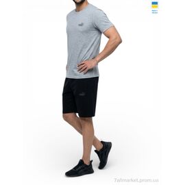 Фотография Спортивный костюм мужской Лето 11PU св.сірий (5 шт. р.сетка 46-54) "Sport style" недорого оптом от прямого поставщика