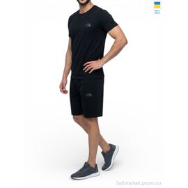 Фотография Спортивный костюм мужской Лето 11TNF чорний (5 шт. р.сетка 46-54) "Sport style" недорого оптом от прямого поставщика