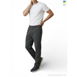 Фотография Спортивные брюки мужские Весна/осень 10PU т.сірий (5 шт. р.сетка 56-64) "Sport style" недорого оптом от прямого поставщика