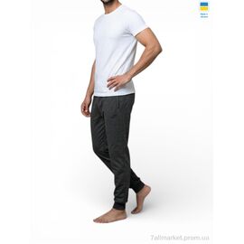 Фотография Спортивные брюки мужские Весна/осень 22NI т.сірий (5 шт. р.сетка 50-58) "Sport style" недорого оптом от прямого поставщика