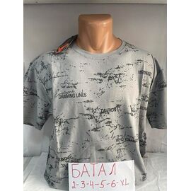 Фотография Футболка мужская SB1685 grey р.2XL-6XL "Sabihina" недорого оптом от прямого поставщика