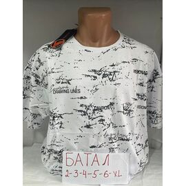 Фотография Футболка мужская SB1686 white р.2XL-6XL "Sabihina" недорого оптом от прямого поставщика