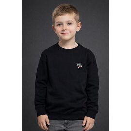 Фотография Свитер детский на мальчика FK1661 black р.4-8 "Fili kids" недорого оптом от прямого поставщика