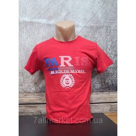 Футболка чоловіча стильна PARIS р.M-2XL "MODY" недорого гуртом від прямого постачальника