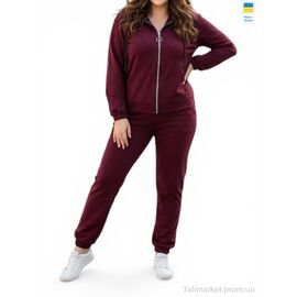 Фотография Спортивный костюм женский Весна/осень 53 бордовий (4 шт. р.сетка 48-54) "Sport style" недорого оптом от прямого поставщика