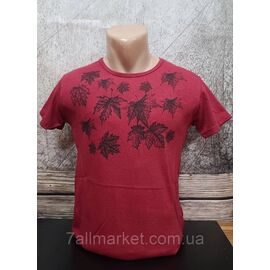 Футболка чоловіча з принтом р.M-2XL "MODY" недорого гуртом від прямого постачальника