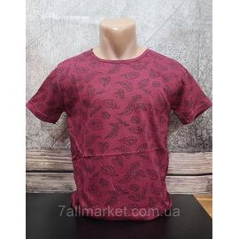 Футболка чоловіча з принтом р.M-2XL "MODY" недорого гуртом від прямого постачальника