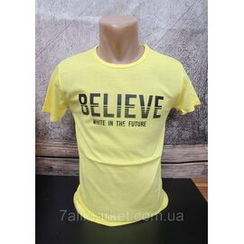 Фотография Футболка мужская BELIEVE р.M-2XL (3цв) "MODY" недорого оптом от прямого поставщика
