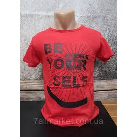 Футболка чоловіча з накатом р.M-2XL  "MODY" недорого гуртом від прямого постачальника