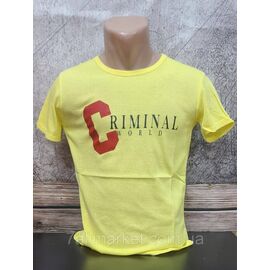 Футболка чоловіча CRIMINAL р.M-2XL (2кв) "MODY" недорого гуртом від прямого постачальника
