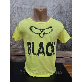 Футболка чоловіча стильна BLACK р.M-2XL (2кв) "MODY" недорого гуртом від прямого постачальника